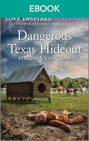 Dangerous Texas Hideout