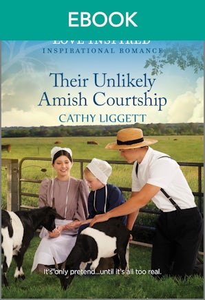 Their Unlikely Amish Courtship