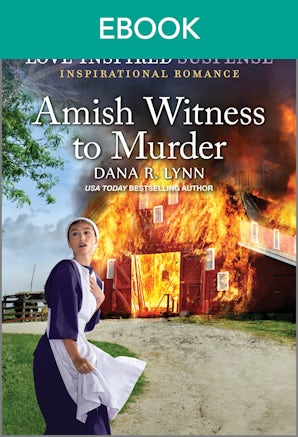 Amish Witness To Murder