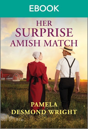 Her Surprise Amish Match