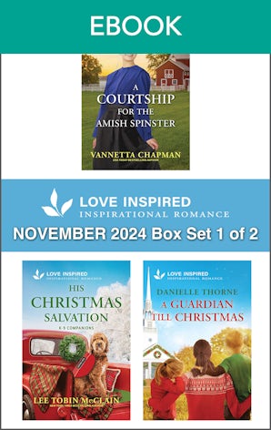 Love Inspired November 2024 Box Set - 1 of 2