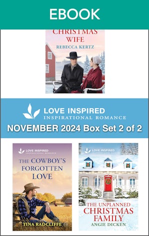 Love Inspired November 2024 Box Set - 2 of 2