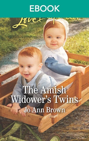 The Amish Widower's Twins