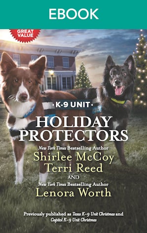 Holiday Protectors