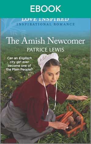 The Amish Newcomer