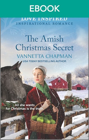 The Amish Christmas Secret