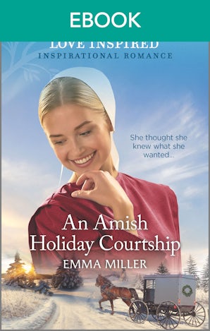 An Amish Holiday Courtship