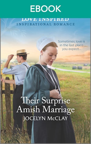 Their Surprise Amish Marriage