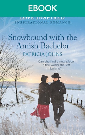 Snowbound with the Amish Bachelor