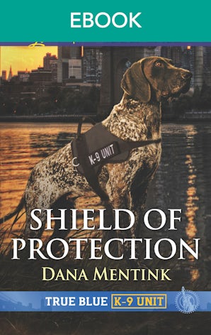 Shield of Protection (novella)