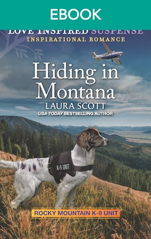 Hiding in Montana