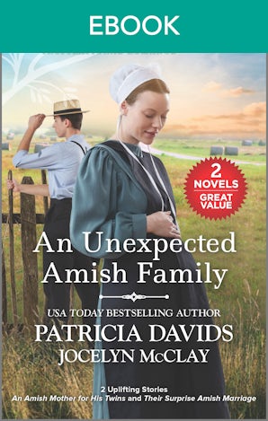 An Unexpected Amish Family