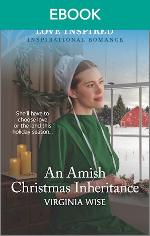 An Amish Christmas Inheritance