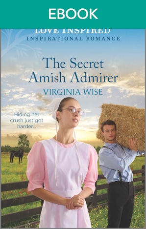 The Secret Amish Admirer