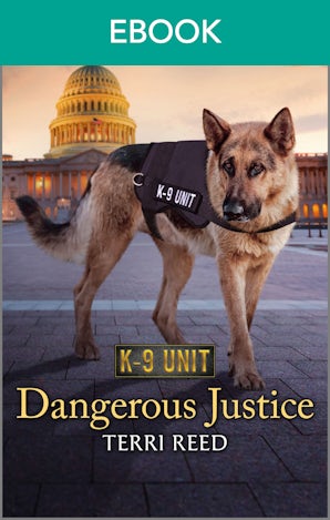 Dangerous Justice (novella)