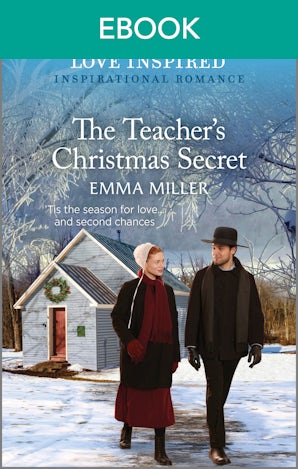 The Teacher's Christmas Secret