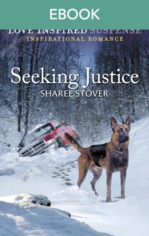 Seeking Justice